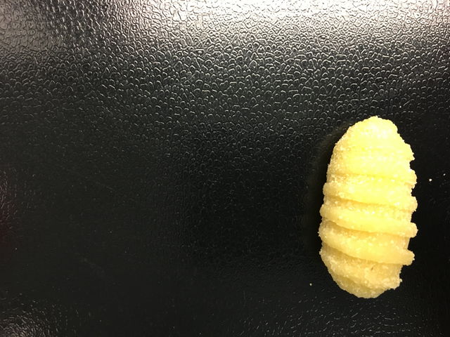 Gnocchi