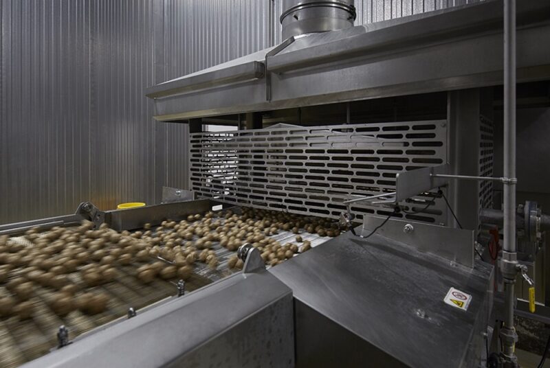Rosina Protein Plant