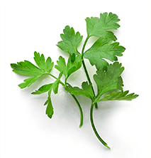 parsley iso
